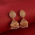 Load image into Gallery viewer, Aviary shaped jhumki