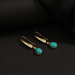 Load image into Gallery viewer, FEROZA SHINE DROPS