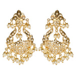 Load image into Gallery viewer, Timeless Gleam