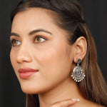 Load image into Gallery viewer, Multicoloured Danglers