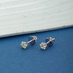 Load image into Gallery viewer, Timeless Elegance (White Gold)