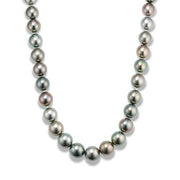 Obsidian Peacock Radiance