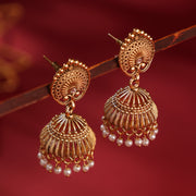 Aviary shaped jhumki