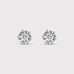Load image into Gallery viewer, Timeless Elegance (Silver)
