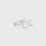 Load image into Gallery viewer, Timeless Elegance (Silver)
