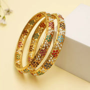 RAINBOW TONED BANGLES